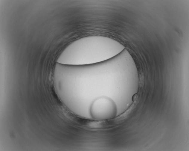 X0000115600178200911100959