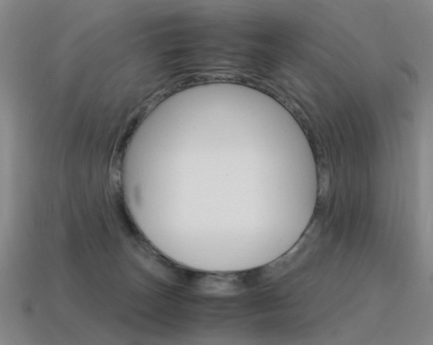 X0000115600179200911100959