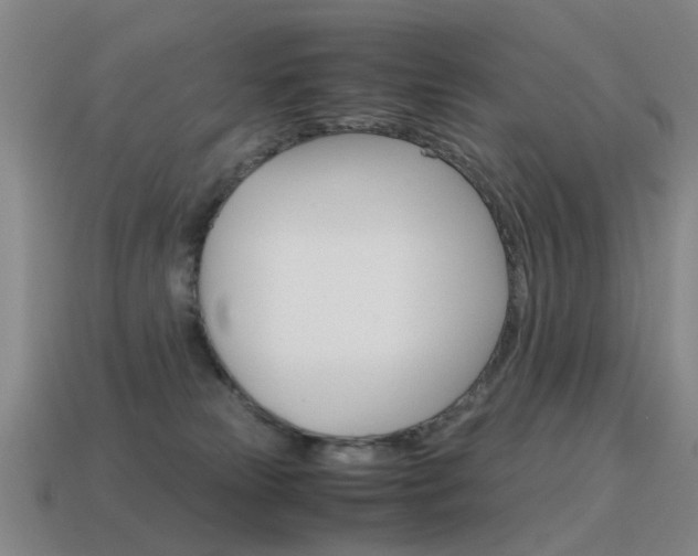 X0000115600181200911100959
