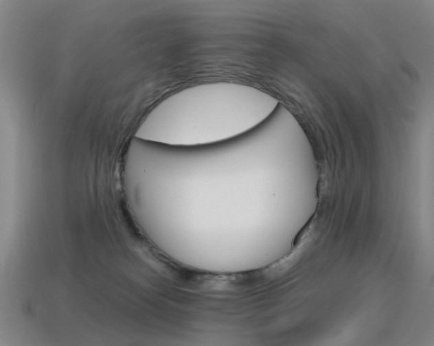 X0000115600182200911100959