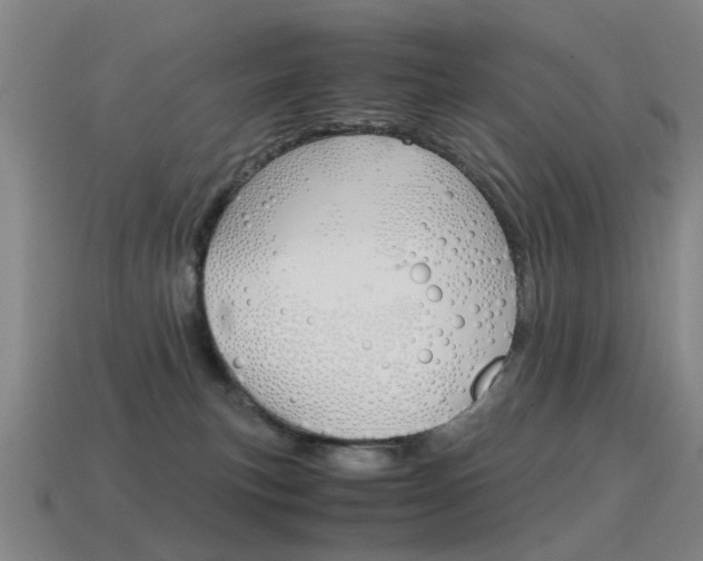 X0000115600183200911100959