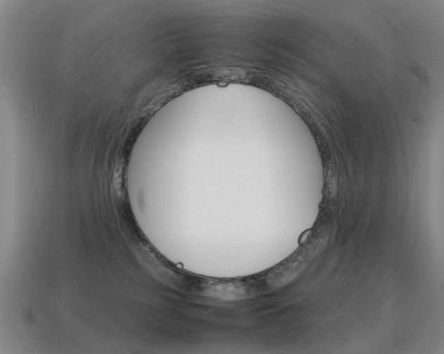 X0000115600185200911100959