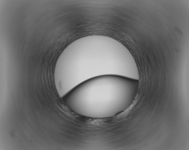 X0000115600186200911100959
