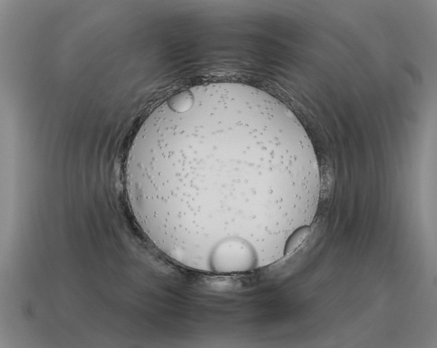 X0000115600187200911100959
