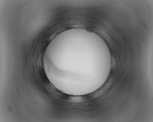 X0000115600189200911100959