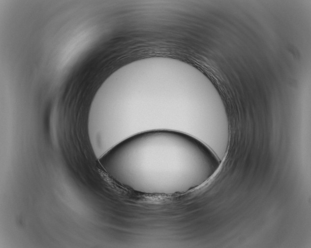 X0000115600190200911100959