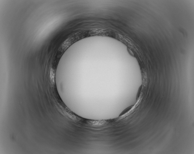 X0000115600191200911100959