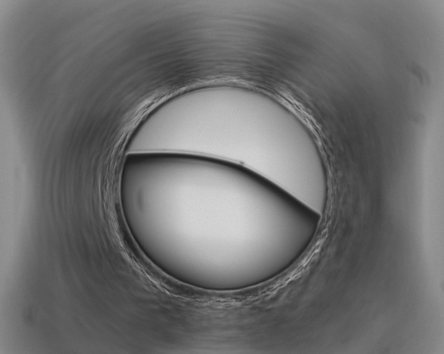 X0000115600193200911100959