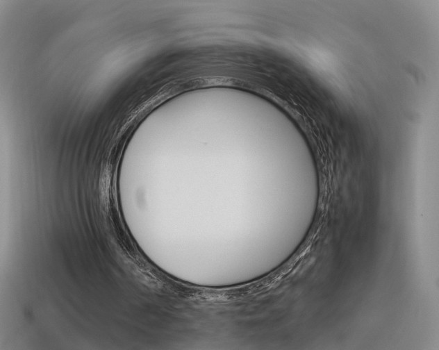 X0000115600194200911100959