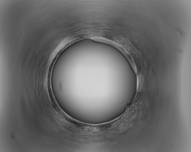 X0000115600195200911100959
