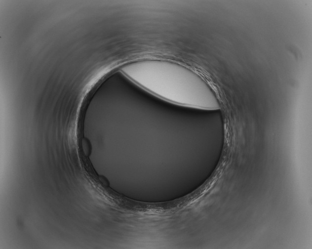X0000115600196200911100959