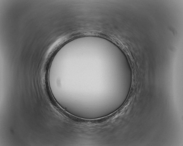 X0000115600197200911100959