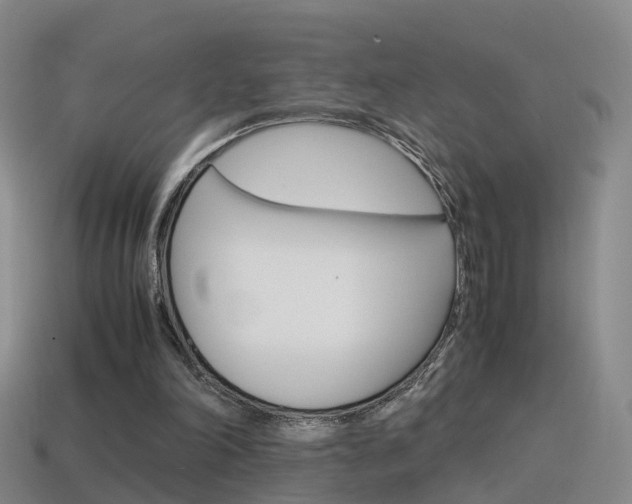 X0000115600198200911100959