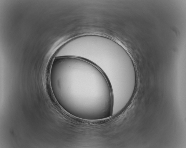 X0000115600199200911100959