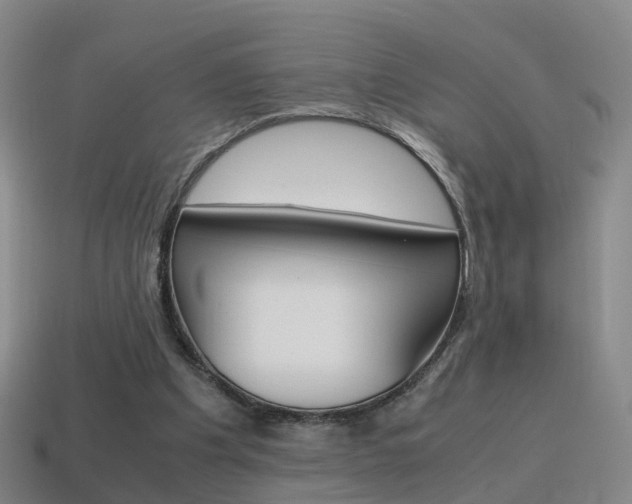 X0000115600201200911100959