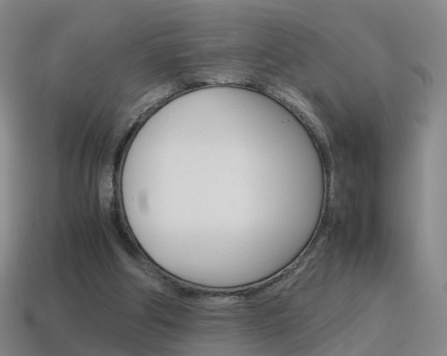 X0000115600202200911100959