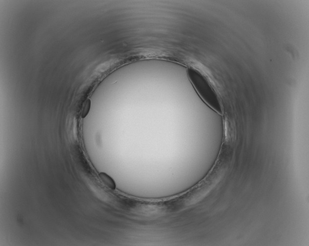 X0000115600205200911100959