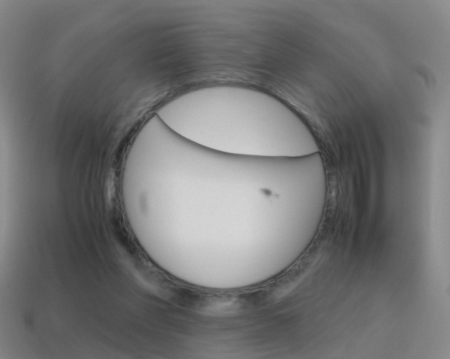 X0000115600206200911100959