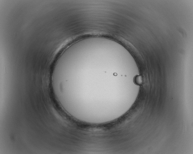 X0000115600208200911100959