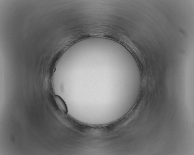 X0000115600209200911100959