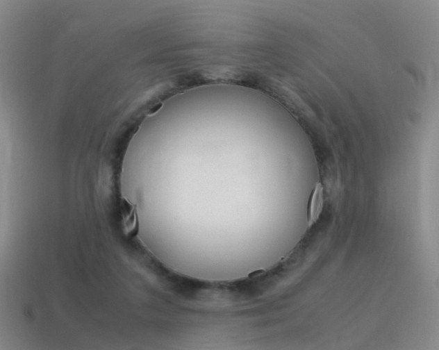 X0000115600211200911100959