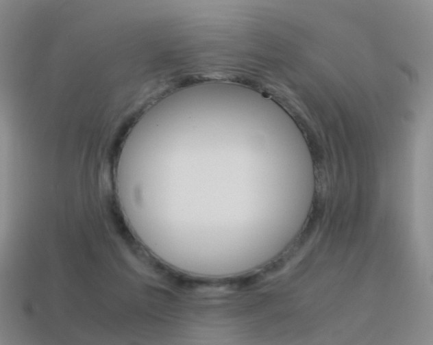 X0000115600213200911100959