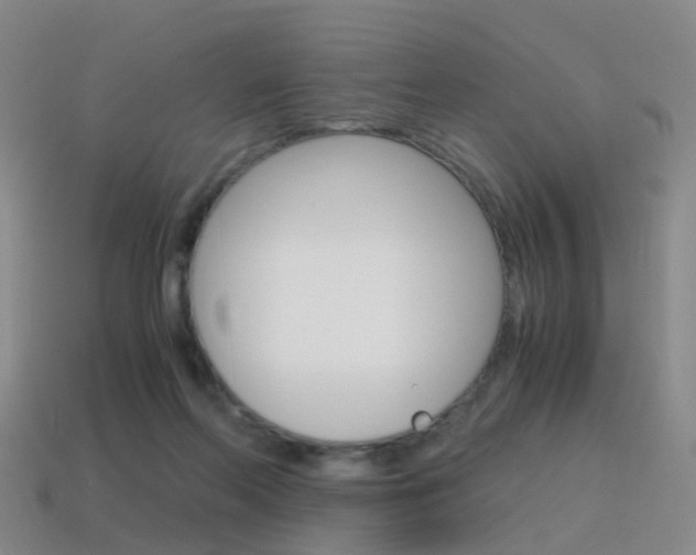 X0000115600214200911100959