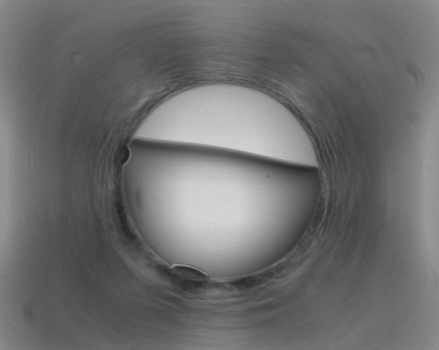 X0000115600215200911100959