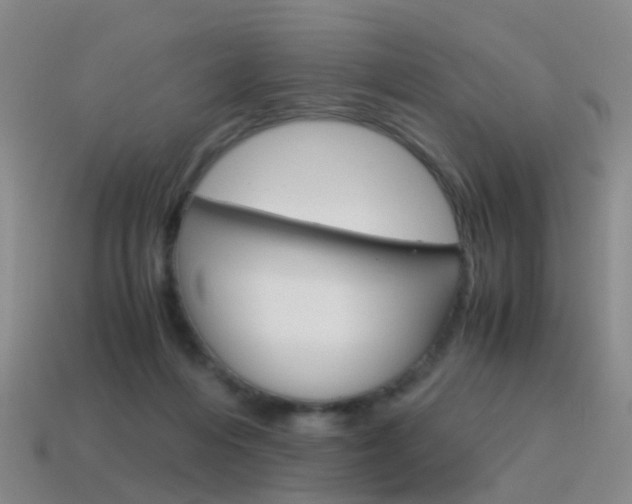 X0000115600216200911100959