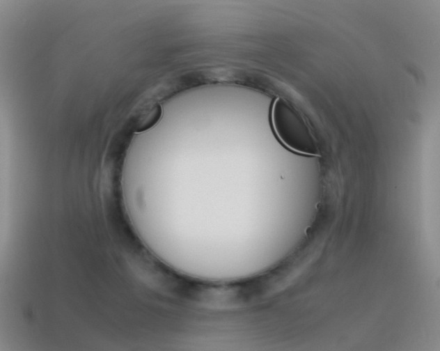 X0000115600217200911100959