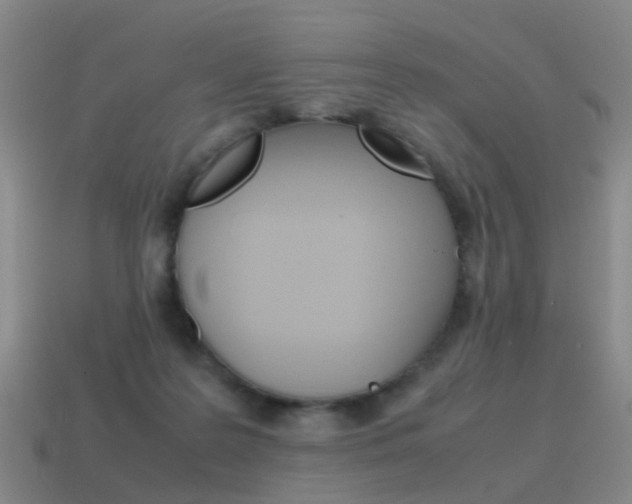 X0000115600219200911100959