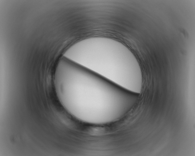 X0000115600220200911100959
