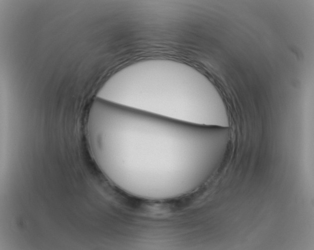X0000115600221200911100959