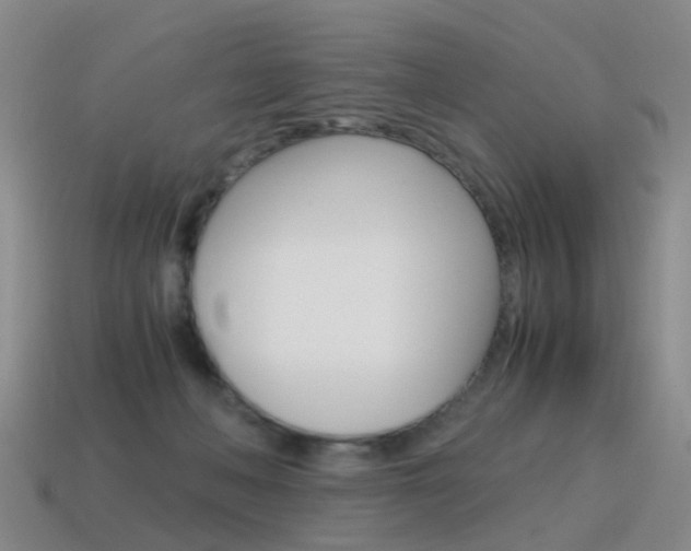 X0000115600222200911100959