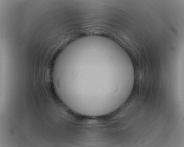 X0000115600224200911100958