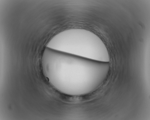 X0000115600225200911100958