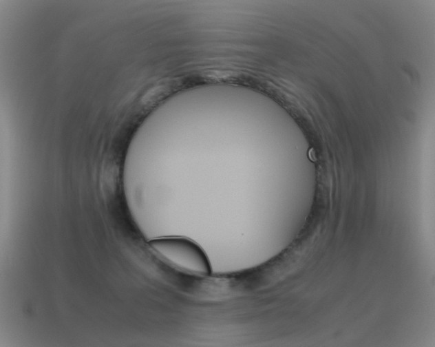 X0000115600227200911100958
