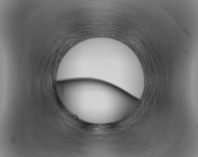 X0000115600229200911100958