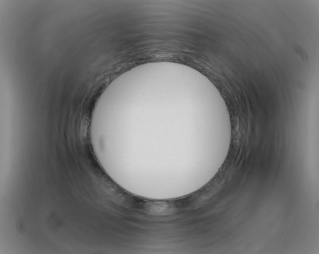X0000115600230200911100958