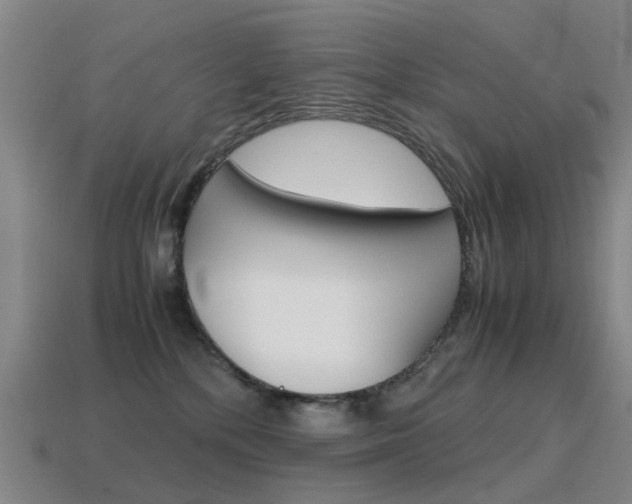 X0000115600232200911100958