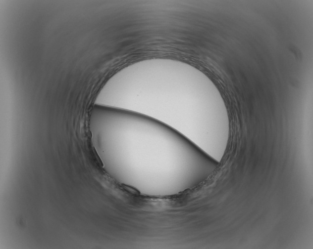 X0000115600233200911100958