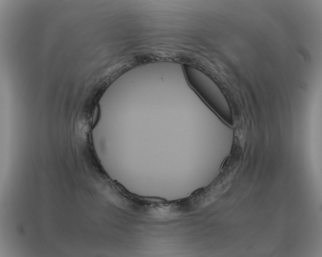 X0000115600235200911100958