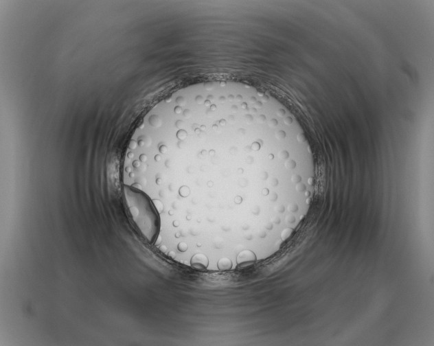 X0000115600238200911100958