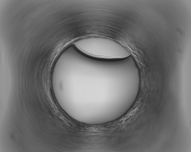 X0000115600241200911100957