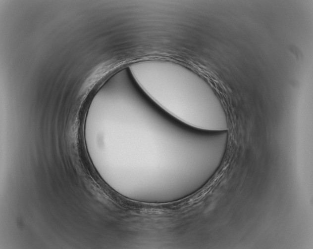 X0000115600242200911100958