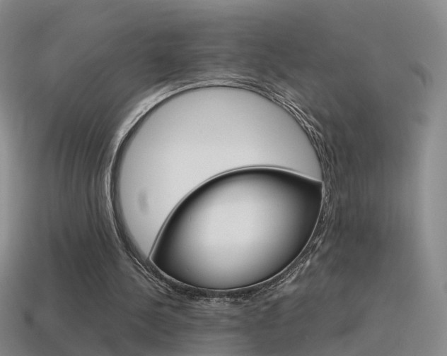 X0000115600244200911100958