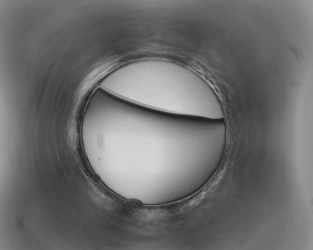 X0000115600245200911100958