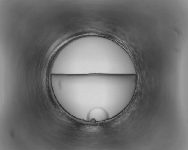 X0000115600247200911100958