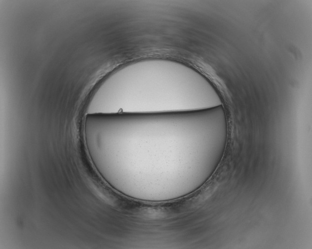 X0000115600250200911100958