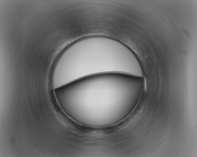 X0000115600252200911100958